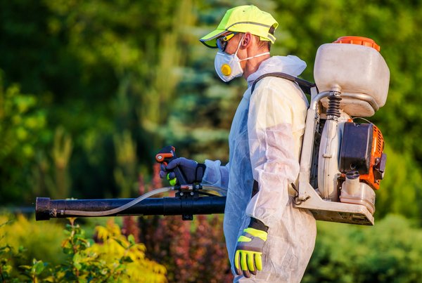 Découvrez la solution ultime pour un environnement sans rongeurs ni insectes.